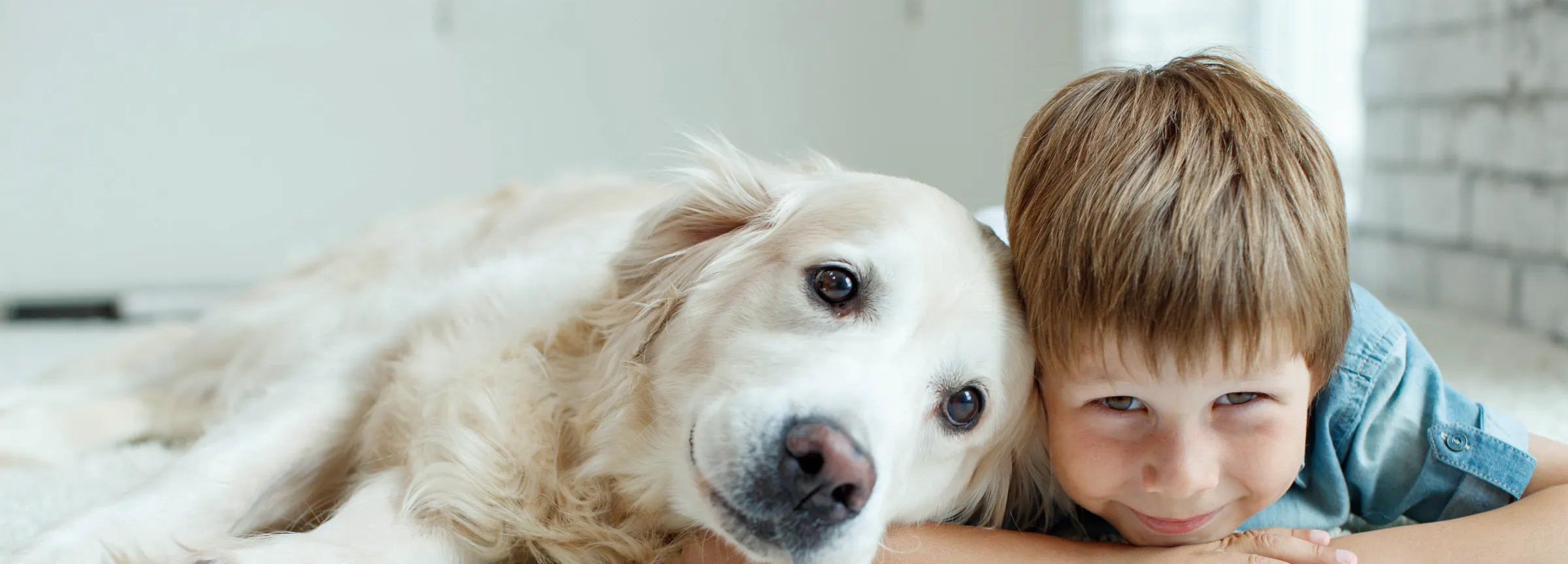 child with dog